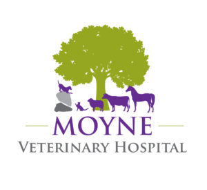 Moyne Vet Logo 1 300x275 - Moyne-Vet-Logo-1