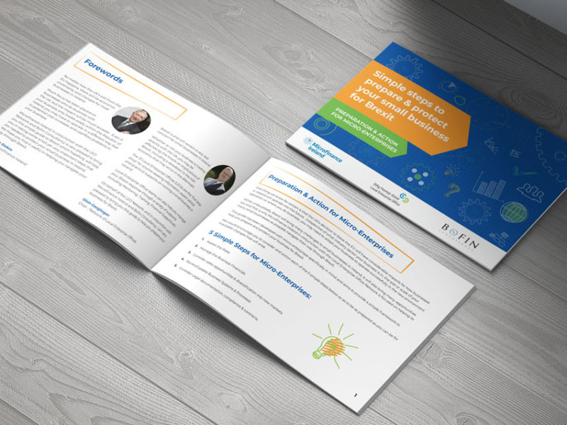 Microfinance Ireland Brexit Guide microfinance ireland3 800x600 - Microfinance Ireland Brexit Guide