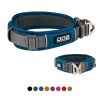 dog collar blue 100x100 - Dog Collar