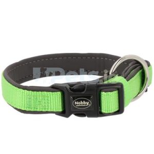 dog collar green 300x300 - Dog Collar
